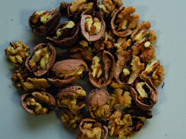 Cerneaux de noix décortiquées, Cassés